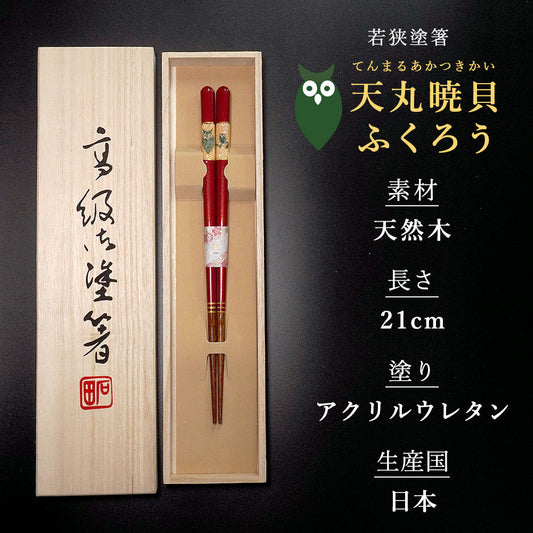 天丸暁貝 ふくろう 日本製 箸 女性用 21.0cm 一膳 桐箱入 食洗機対応 ギフト プレゼント