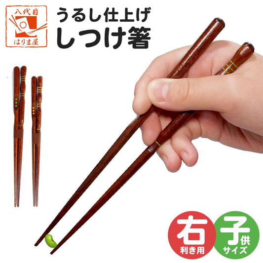 箸 子共箸 うるし仕上げ しつけ箸 箸上手 三点支持箸 子共用 16.5cm 年少~小学校低学年 18.0cm 小学校3年頃~