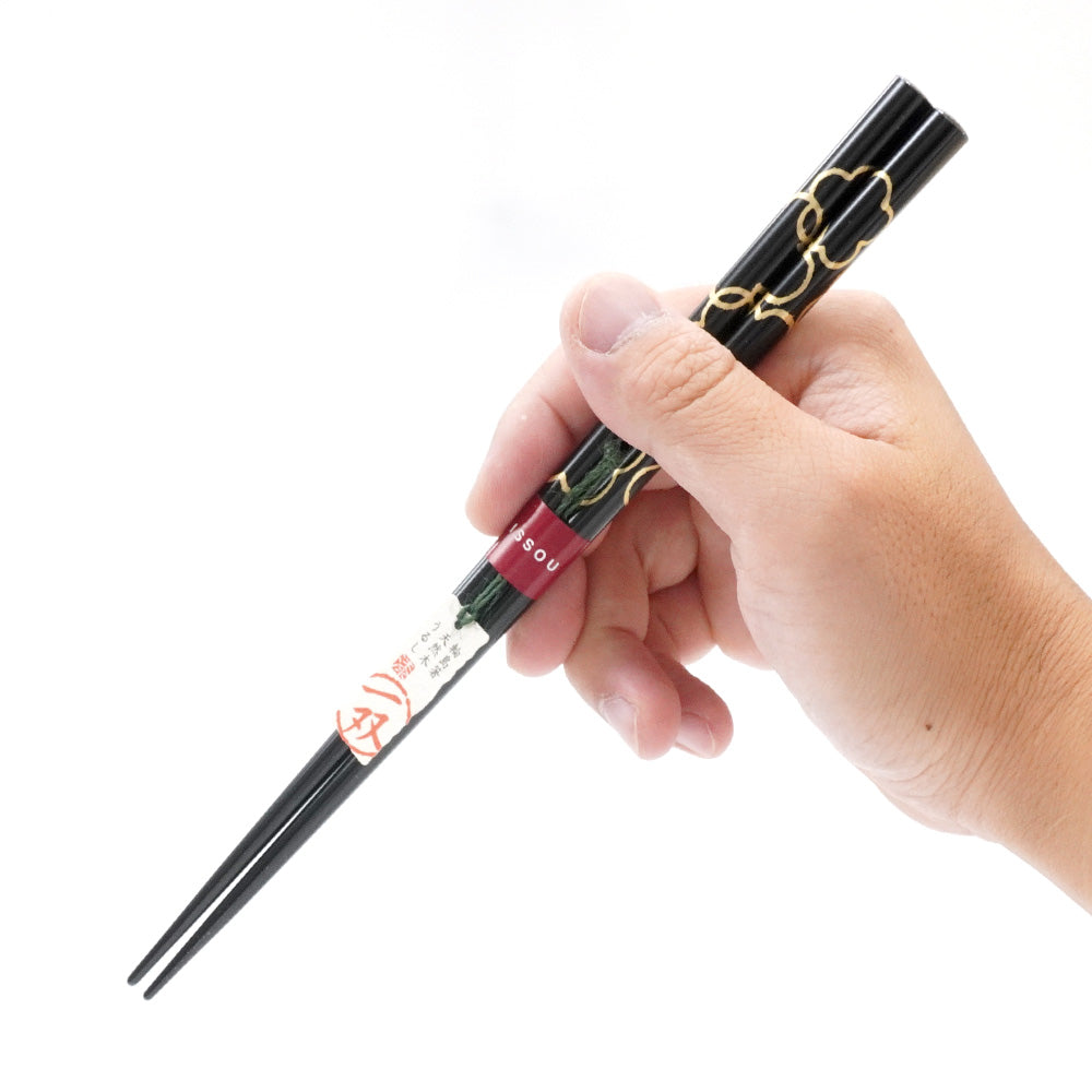 箸 一双 縁 男性用 父の日 一膳 桐箱入り