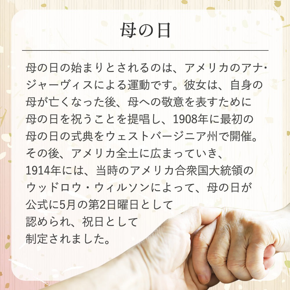 母の日 プレゼント 実用的 箸 茶碗 マグカップ 花連 つむぎ 飯碗マグカップ箸セット
