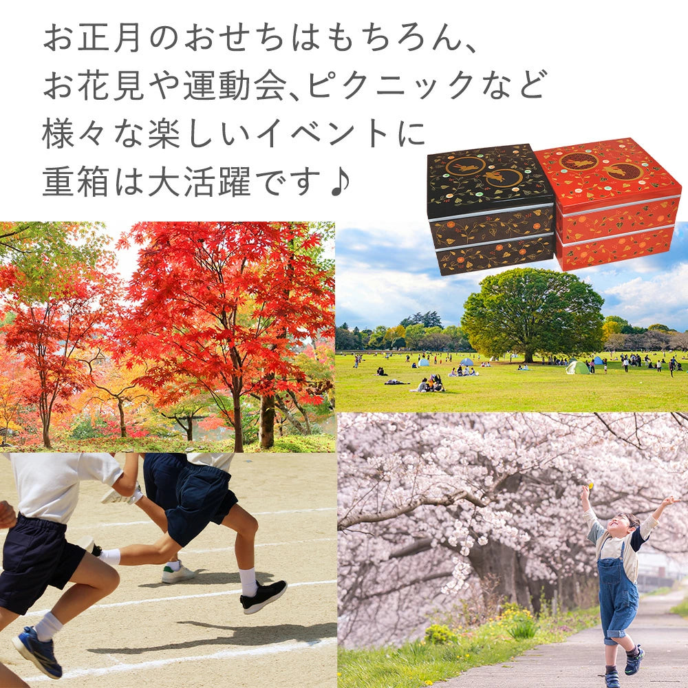 重箱 二段 うさぎ唐草 6寸 2段重 黒内朱 総朱