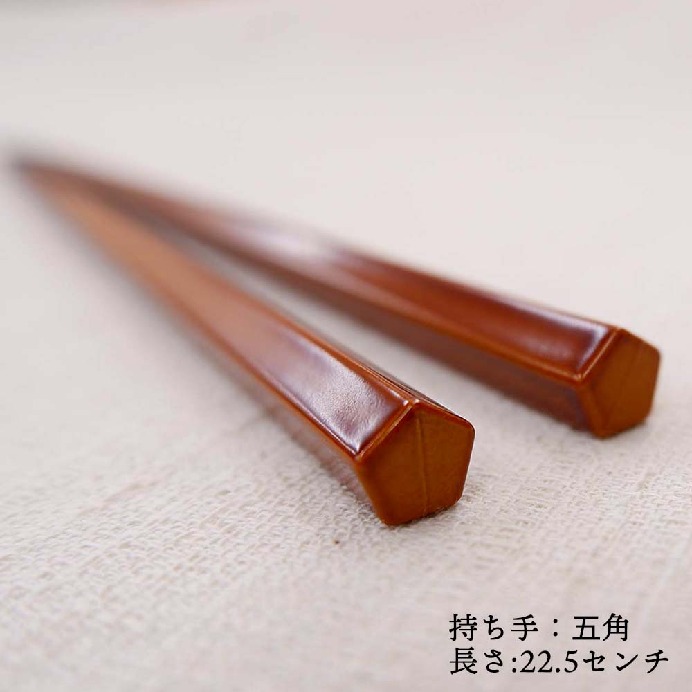 箸 業務用箸 五角 春慶 10膳入り エコ箸