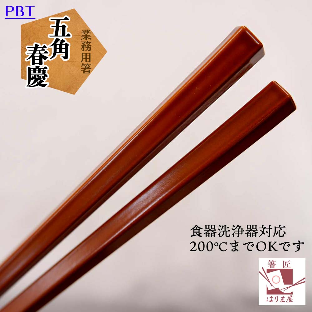 箸 業務用箸 五角 春慶 10膳入り エコ箸