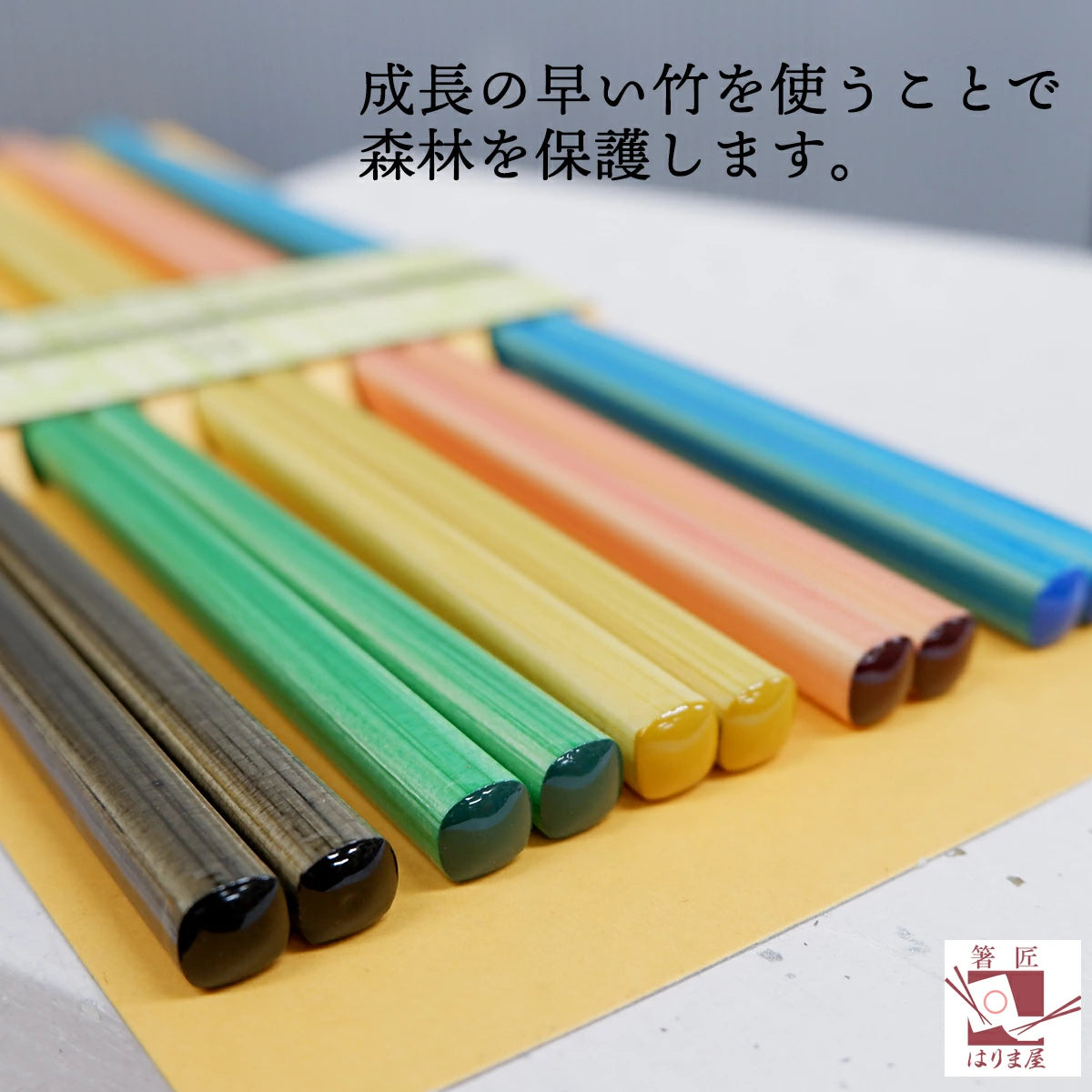 食洗機対応 箸 セット 日本製 竹製 カラー染竹 5膳セット お箸セット 普段使い 家族用 来客用 お箸 おはし ギフト プレゼント 大人用 若狭塗り箸 帰省土産 みやげ chopsticks メール便で送料無料