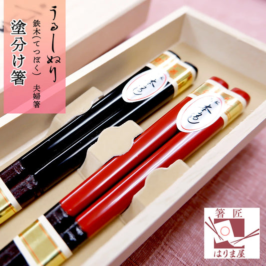 箸 塗り分け箸 鉄木 夫婦箸 桐箱入り 父の日 プレゼント