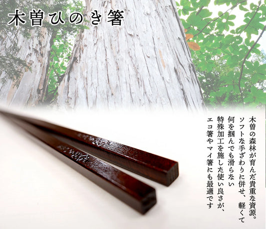 箸 木曽ひのき 5膳 セット 木曽漆器 日本製
